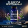 Silimarina Cardo Mariano Enerlife 450 mg, frasco de 90 cápsulas con 45 porciones, junto a flores de cardo mariano.