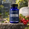 Berberina Enerlife 500 mg